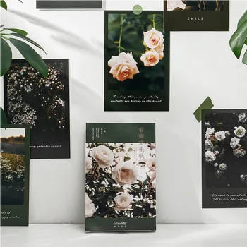 2 Dizainas Gražus Begonia Gėlių ir skaidrus Nakties Dangus Serijos Atvirukas INS Stiliaus Atvirukai Pranešimą Kortelės